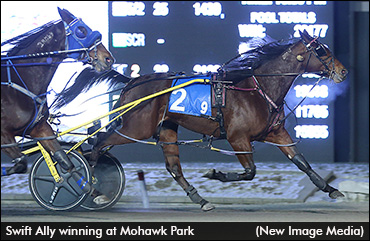 Swift Ally Hitting Her Stride