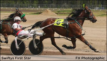 Swiftys First Star Crowned Alberta HOTY