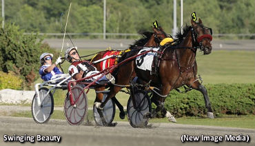 Faves Dominate In Town Pro Elims