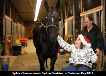 Sydney Seelster Claim Update