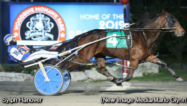 Sylph Hanover Solid For New Crew