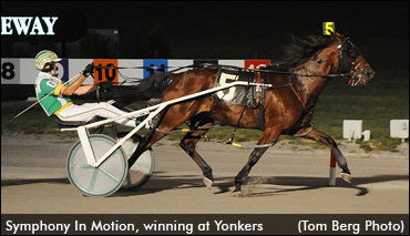 The Bionic Pacing Mare