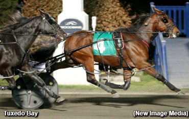 Hat Trick Score For Tuxedo Bay