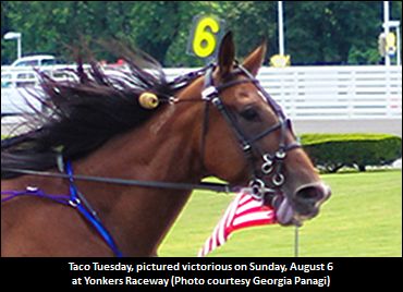 ‘Taco’ Triumphs In Open Handicap