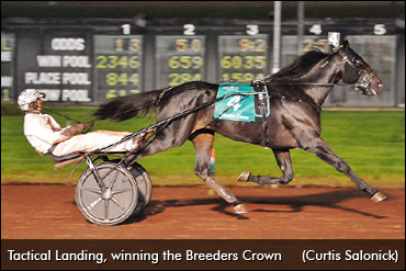 Tactical Landing Sets Sights On TVG