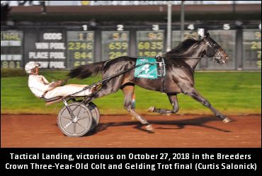 Tactical Landing Retired To Stud