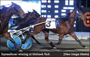 Tajmeallover Tackles Mohawk Mares