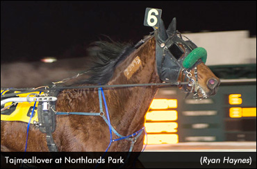 Tajmeallover Defends Lady Elements Title