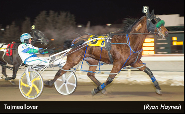 Tajmeallover Hot In Frozen Edmonton