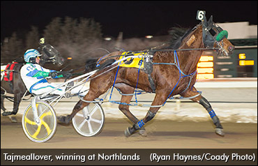 Dumont High On Homebred Mare