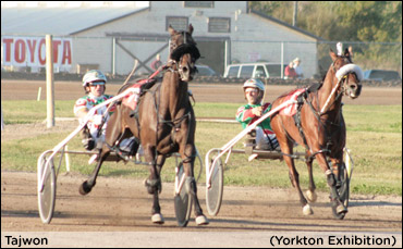 Yorkton Season Record For Tajwon