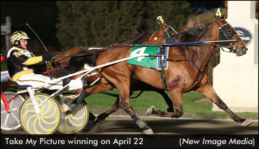 Take My Picture To Take On The World