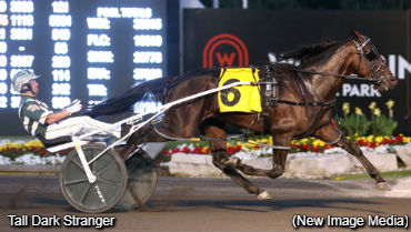 Tall Dark Stranger Sizzles In Dream Maker
