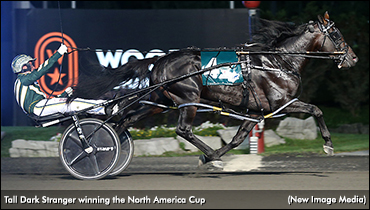 Owners Reflect On Tall Dark Stranger