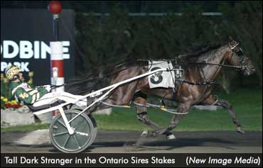 Tall Dark Stranger Perfect In OSS