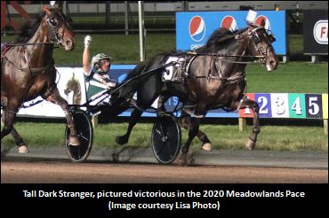 Tall Dark Stranger To Hanover In 2021