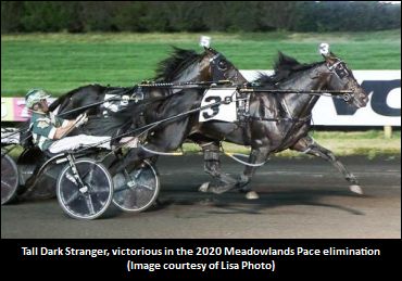 Tall Dark Stranger Ready To Flex