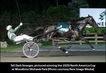 Gingras, Tall Dark Stranger Aim For Another Breeders Crown