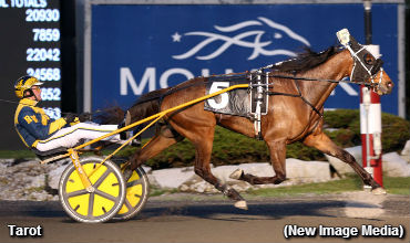 Tie Silk Winners True To Form