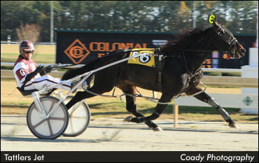 Tattlers Jet Notches Win No. 110