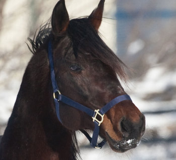 Quels Reves Peuvent Se Réaliser