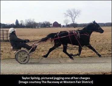 Spitzig Talks Horses, Western Fair