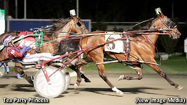 Simcoe Upset For Tea Party Princess