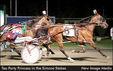 Sires Stakes Champions Battle At WEG