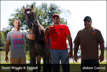 Wiggle It Jiggleit Weathers The Storm