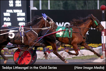 MacDonnell Earns First Gold Win 