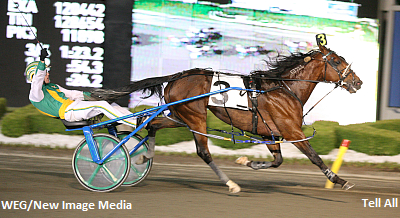 Tell All To Head Down Under