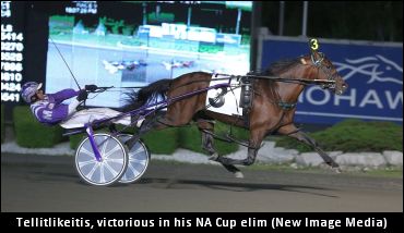 Tellitlikeitis Retired, To Stand Stud