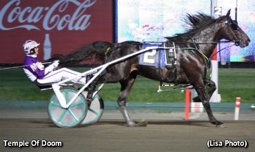 Hambo Finalist Triumphs At The Big M