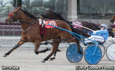 Series Repeat For Terrortina