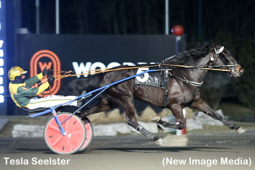 Trotters In Spotlight At Mohawk Park