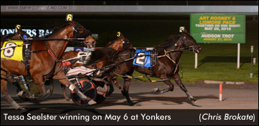 Tessa Seelster Stays Perfect Stateside