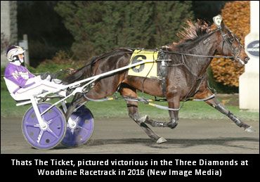 Surgery For Thats The Ticket