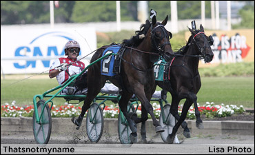 Peaceful Way Elims Set