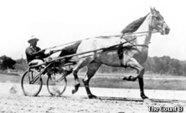 Sophomores Clash In The Count B