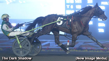 Stakes Score For The Dark Shadow