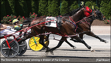 The Downtown Bus Upsets In Graduate