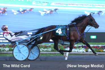 Sophomore Speed Show In Grassroots