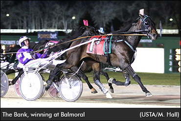 'Bank'-ing On A Trotter's Form