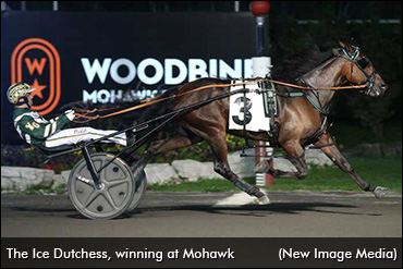 The Ice Dutchess Retired