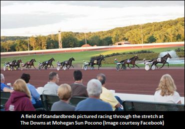 Two-Year-Old Qualifiers Continue