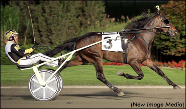 What’s The Game Plan?