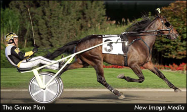 Fields Set For Two OSS Gold Finals