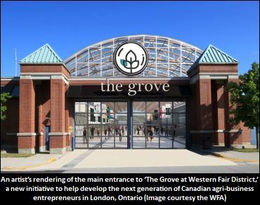 Western Fair District Unveils 'The Grove'