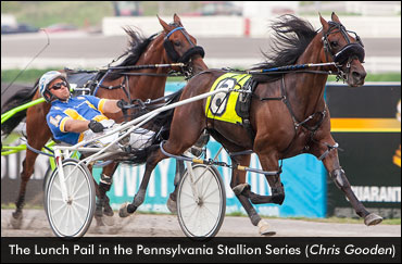 'Lunch Pail' Fastest In Stallion Series