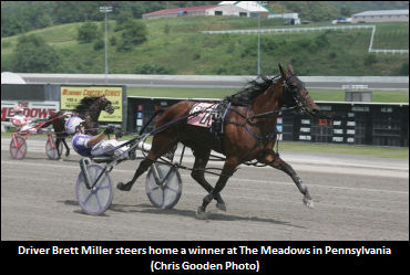 Funding For PA Racing, Breeding Drops